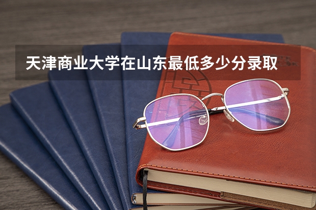 天津商业大学在山东最低多少分录取