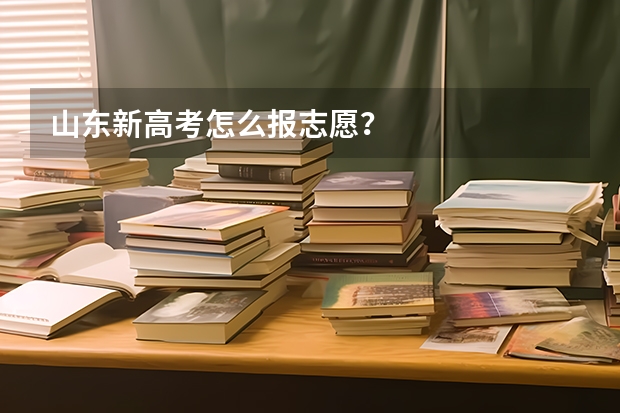 山东新高考怎么报志愿？