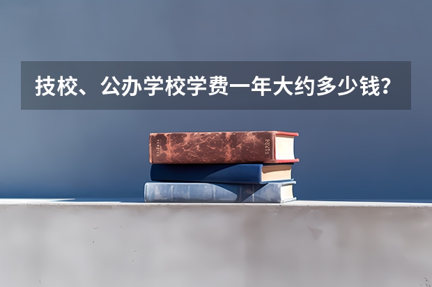 技校、公办学校学费一年大约多少钱?