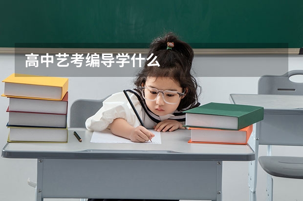 高中艺考编导学什么