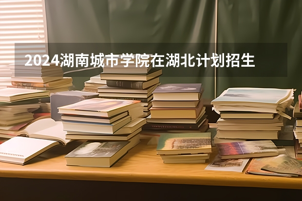 2024湖南城市学院在湖北计划招生多少人