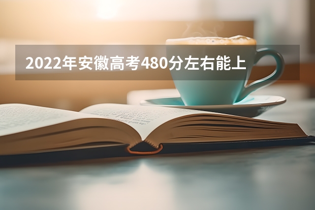 2022年安徽高考480分左右能上什么样的大学